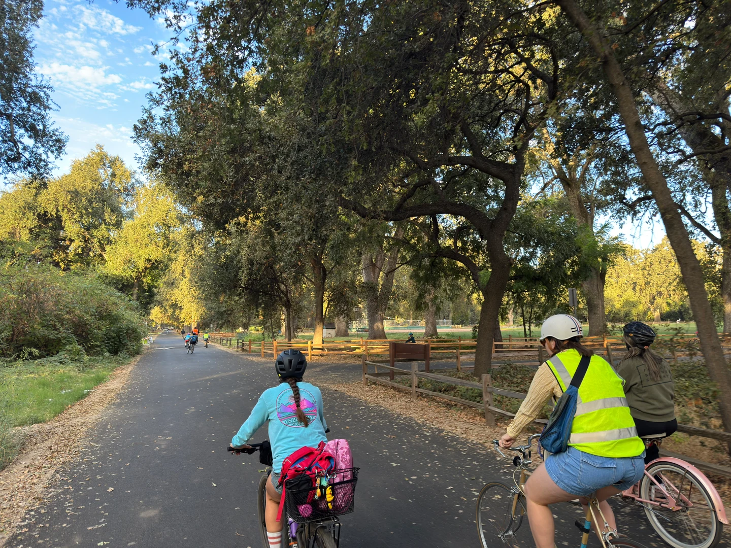 Riders in blue tops and a bright safety vest cycling under large trees