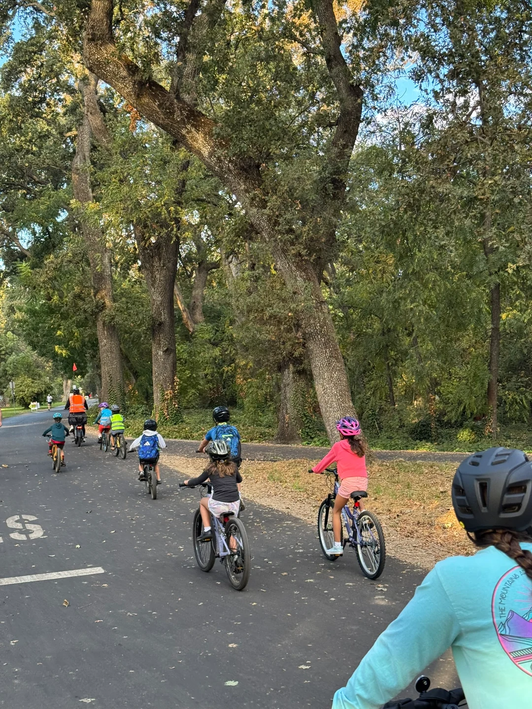 Children cycling along a park path beneath tall trees, seen from behind